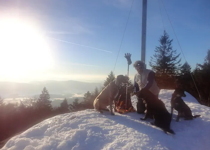 Lejlighed Jaegerhaeusl Arrach