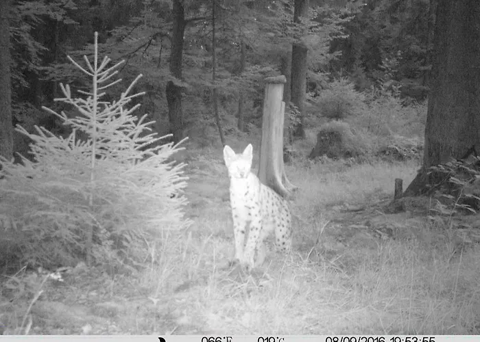 Jaegerhaeusl Lejlighed Arrach