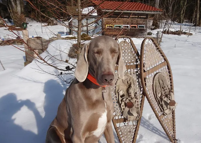 Jaegerhaeusl Lejlighed *