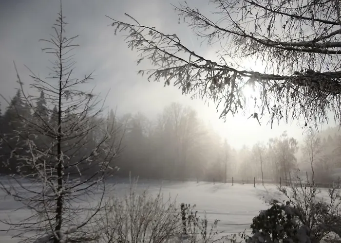 Jaegerhaeusl * Arrach