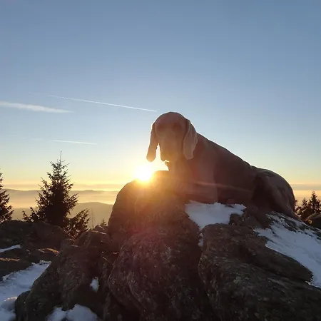 Διαμέρισμα Jaegerhaeusl *