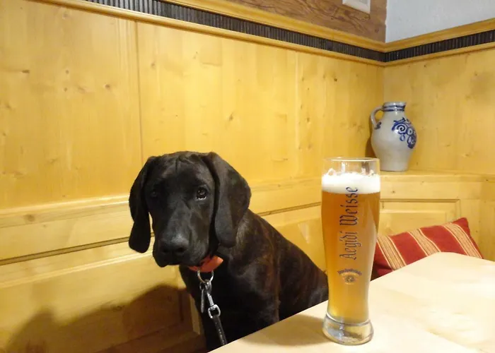 Apartman Jaegerhaeusl